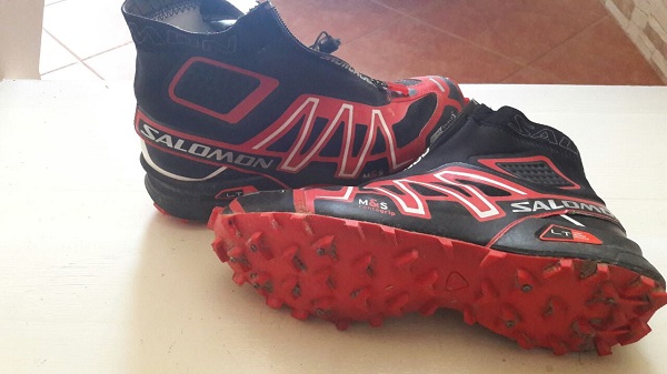 Salomon 11.jpg